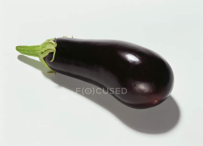 One whole eggplant — Stock Photo