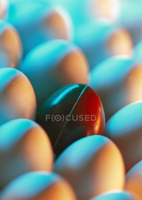 Huevos en luz azul - foto de stock
