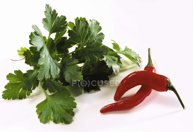 Parsley and two chili peppers — Stock Photo
