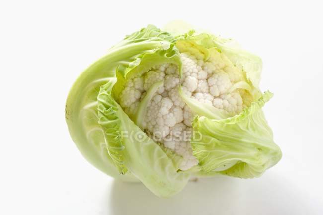 Baby cauliflower, Asia — Stock Photo