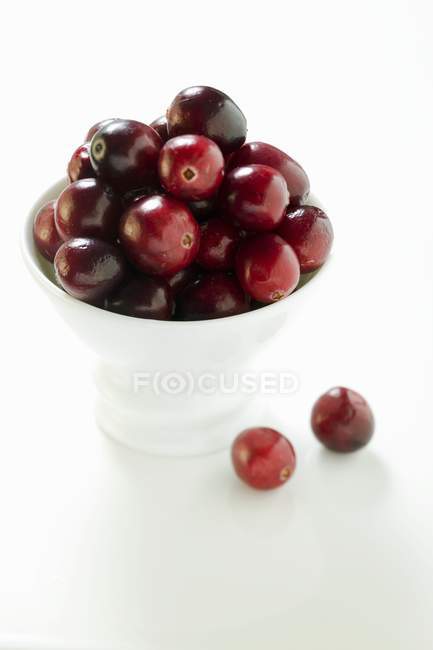 Cranberries em tigela branca — Fotografia de Stock