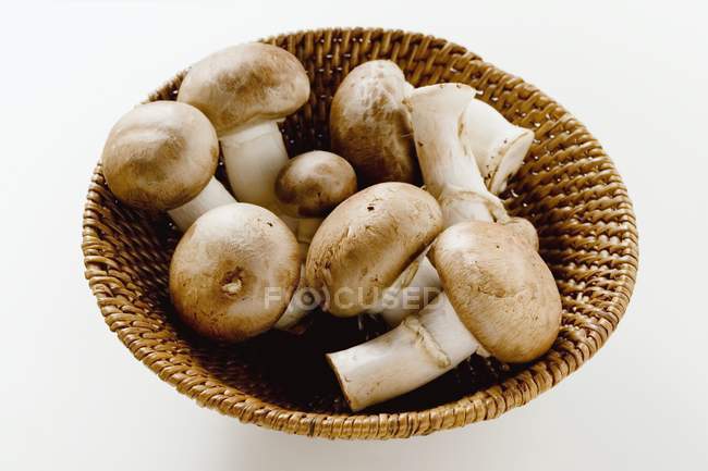 Setas shiitake frescas - foto de stock