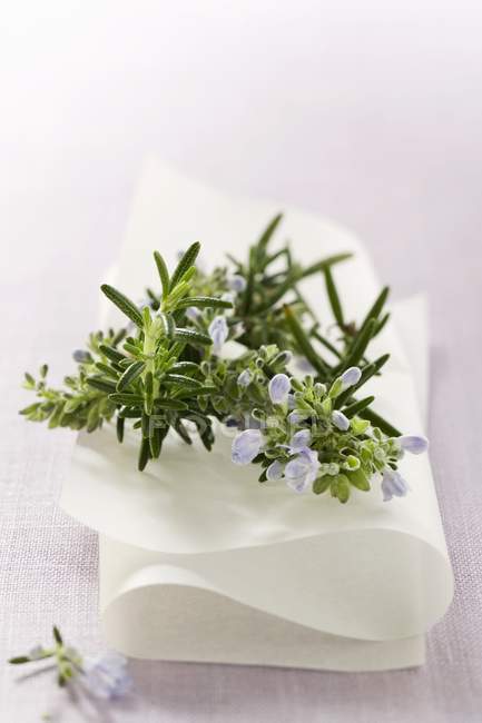 Rosemary fresco com flores — Fotografia de Stock