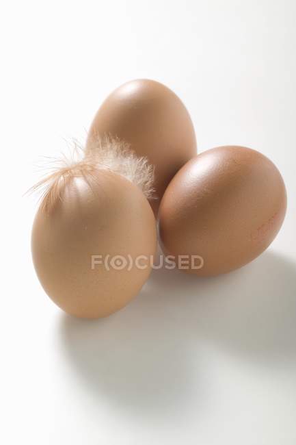 Три коричневых яйца с пером — стоковое фото