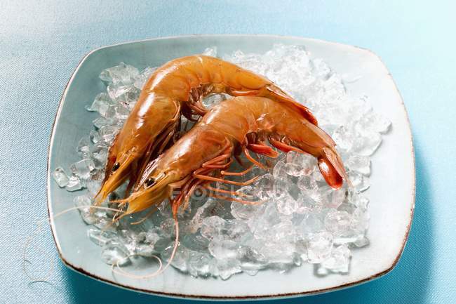 Crevettes fraîches cuites — Photo de stock