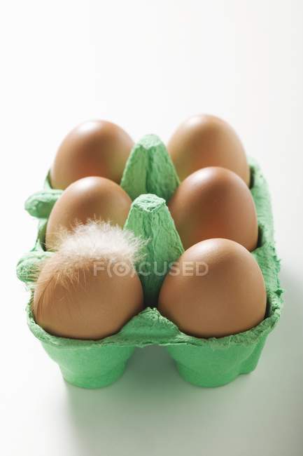 Œufs de poulet dans une boîte en carton — Photo de stock