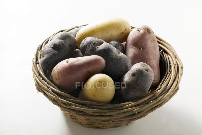 Різні види картоплі — стокове фото