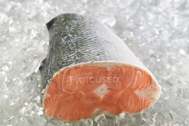 Piece of raw uncooked salmon — Stock Photo