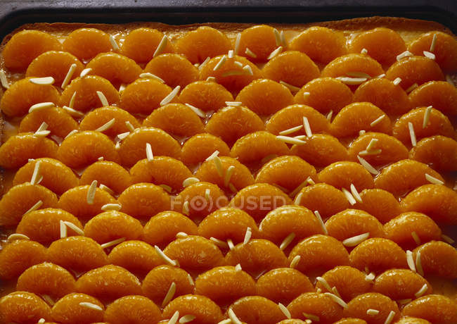 Bolo de tangerina assado em bandeja — Fotografia de Stock
