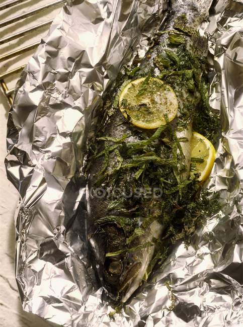 Baked Trout with lemon and herbs in aluminium foil — Stock Photo