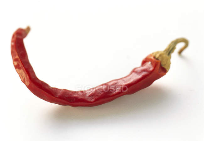 Dried chili pepper — Stock Photo