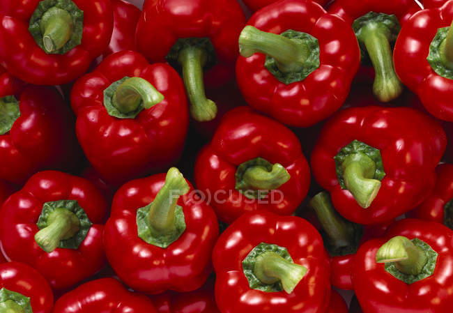 Red bell peppers whole — Stock Photo