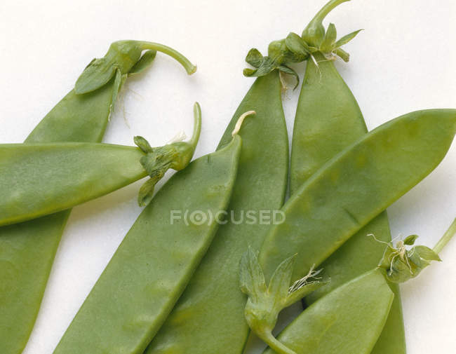 Fresh snow peas — Stock Photo