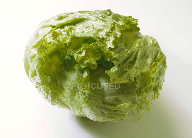 Fresh Iceberg Lettuce — Stock Photo