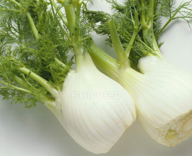Fennel Bulbs laying on white — Stock Photo