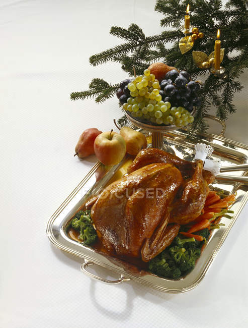 Young Turkey with Baby Vegetable  on white background — Stock Photo