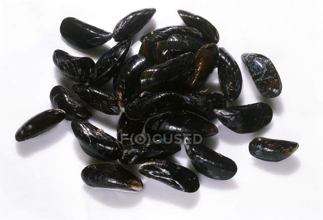 Fresh Blue Mussels — Stock Photo