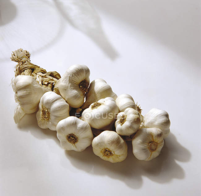Fresh Garlic Braid — Stock Photo