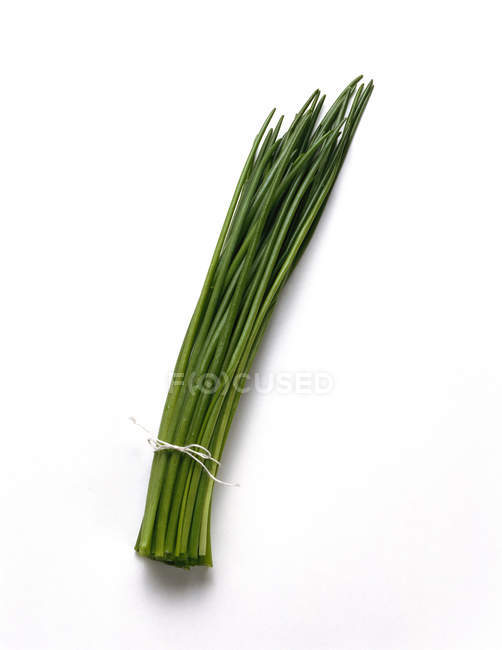 Mazzo di erba cipollina fresca — Foto stock