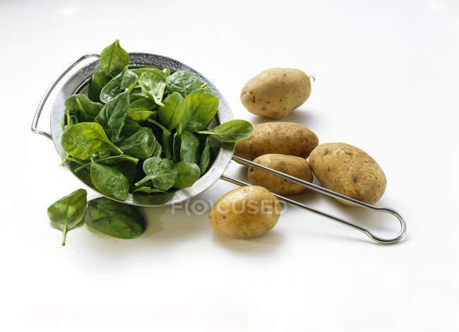 Espinacas y patatas crudas - foto de stock