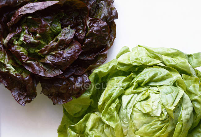 Красный и зеленый салат — стоковое фото