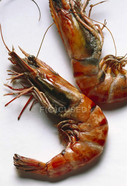 Deep-fried shrimps in shell — Stock Photo