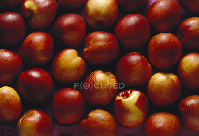 Nectarinas frescas e maduras — Fotografia de Stock