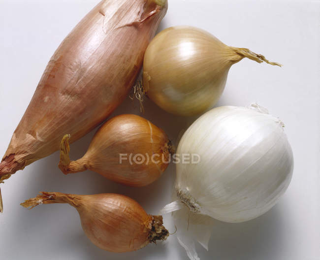 Assorted Onions,  close-up on metallic — Stock Photo