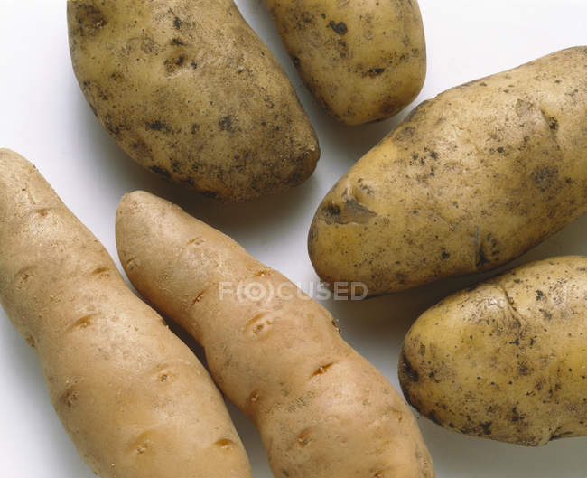Разнообразные виды сырой картошки — стоковое фото