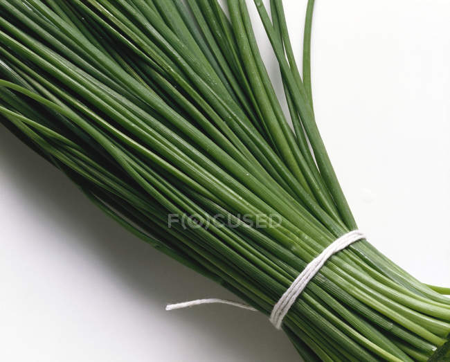 Mazzo di erba cipollina fresca — Foto stock