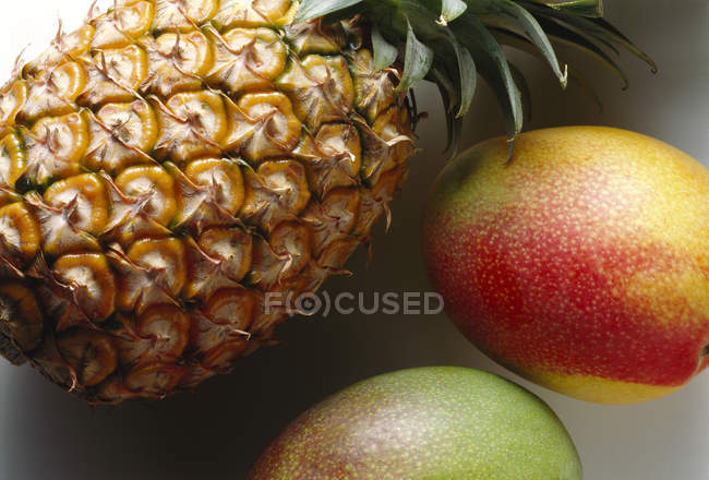 Спелые манго и ананас — стоковое фото