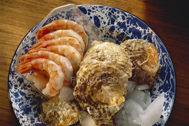 Oysters with boiled Shrimp — Stock Photo