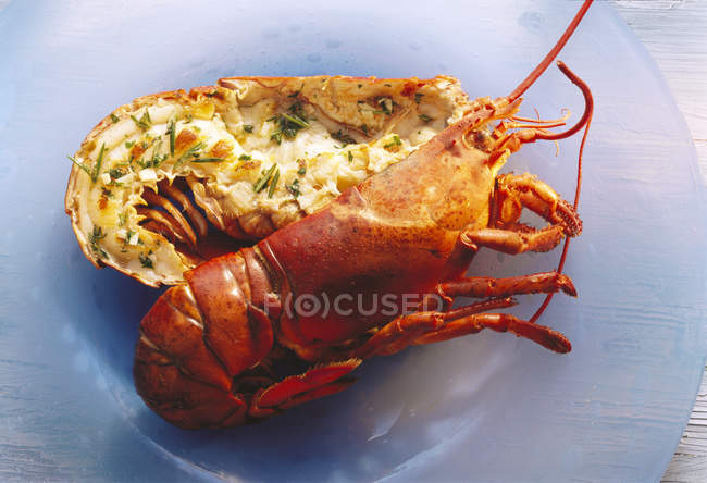 Closeup view of halved stuffed lobster on blue plate — Stock Photo