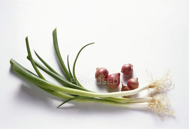 Red Thai onions — Stock Photo