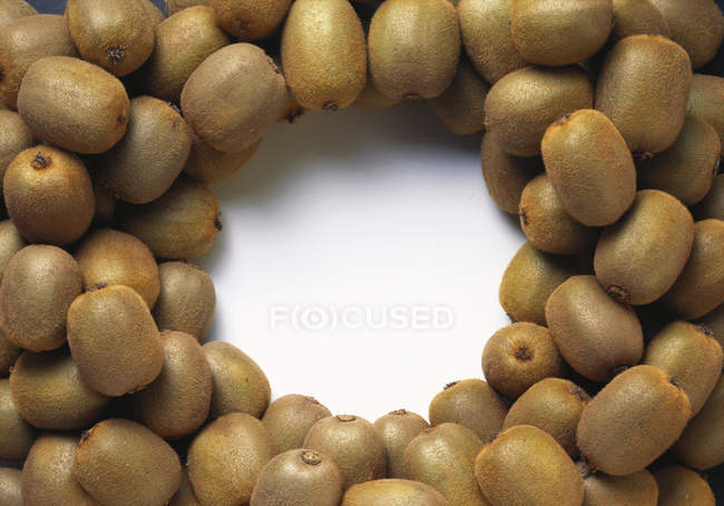 Рамки из цельных фруктов киви — стоковое фото