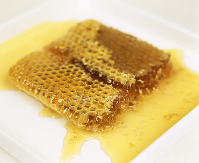 Rayon de miel au miel frais — Photo de stock