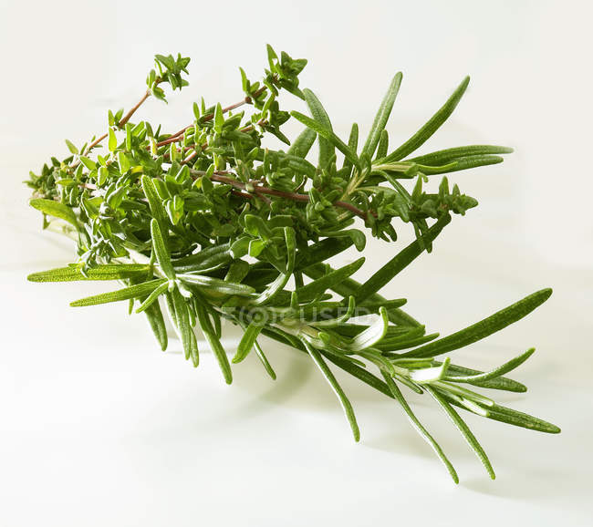 Bunch of Rosemary and thyme — Stock Photo