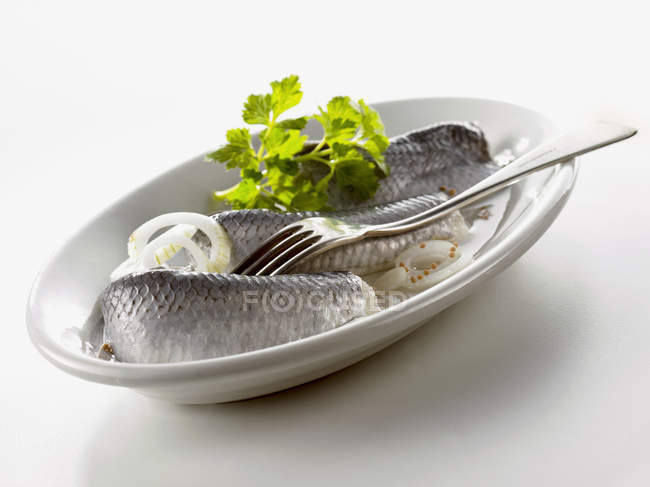 Bismarck herrings with onion and parsley — Stock Photo