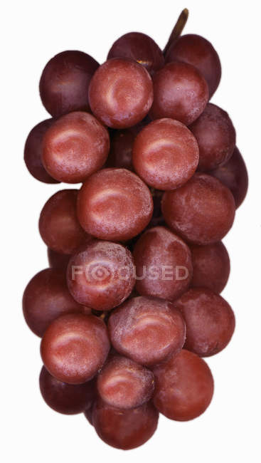 Ein Bündel roter Trauben — Stockfoto