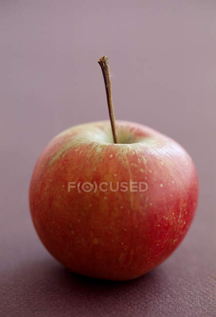 Fresh Ripe Elstar apple — Stock Photo