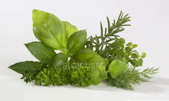 Bouquet d'herbes fraîches — Photo de stock