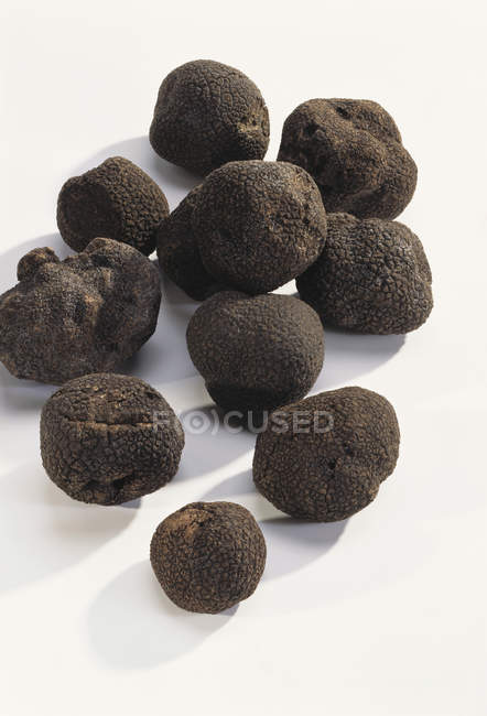 Several black truffles — Stock Photo