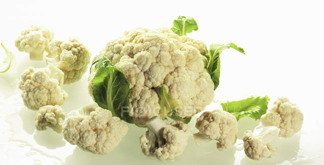 Whole cauliflower with cauliflower florets — Stock Photo