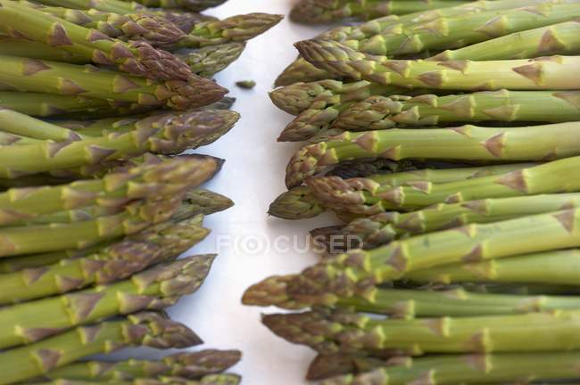 Green fresh asparagus — Stock Photo