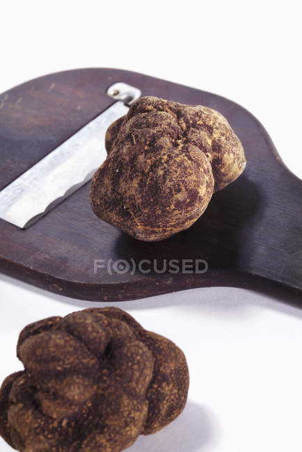 Two black truffles — Stock Photo