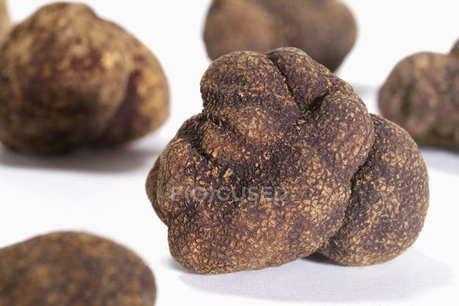 Several black truffles — Stock Photo