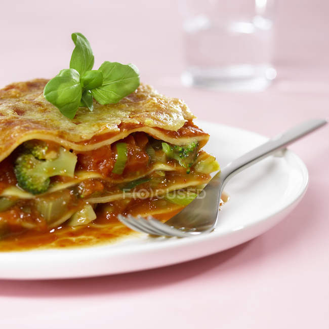 Fresh vegetarian lasagne — Stock Photo