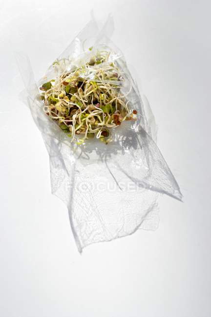 Sprouts in transparent film on white surface — Stock Photo