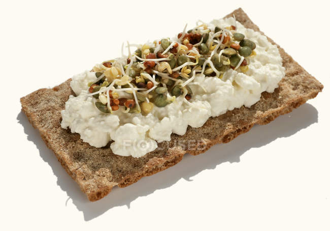 Crispbread with cottage cheese — Stock Photo