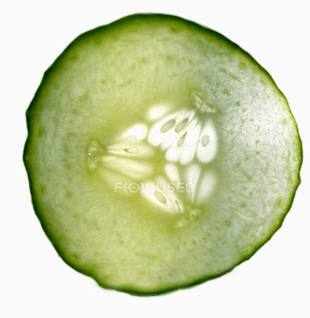 Кусочек зелёного огурца — стоковое фото